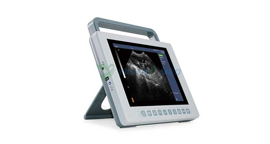 A video introduction to YSENMED YSB-K10V PAD scanner for veterinary use.