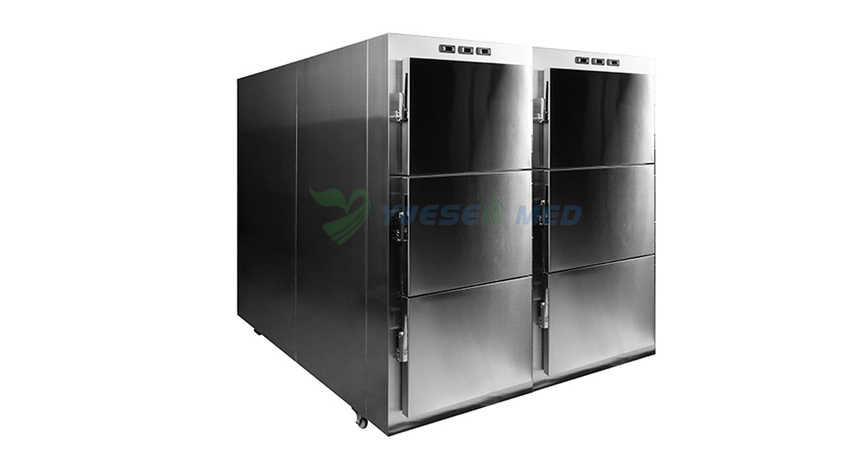 YSENMED customized 6-body morgue freezers delivered to Kenya