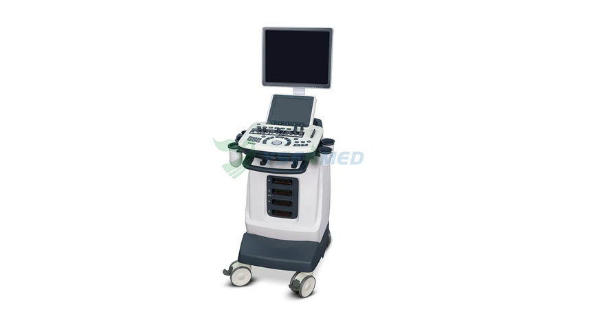YSENMED YSB-S7V veterinary color doppler ultrasound system is in service in a vet clinic in Brazil.