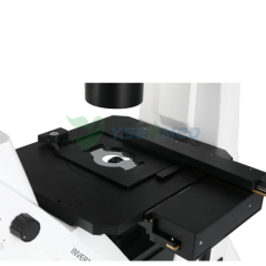 Microscopio biológico invertido YSXWJ-DZ400