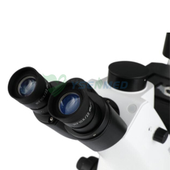 Microscopio biológico invertido YSXWJ-DZ400