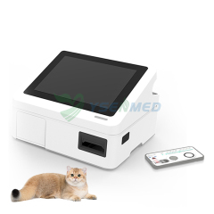 Analizador de electrolitos de gases en sangre veterinario YSTE-BG100V
