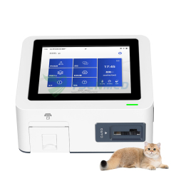 Analizador de electrolitos de gases en sangre veterinario YSTE-BG100V