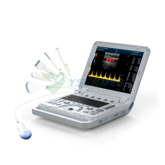 Système de diagnostic ultrasonique portatif Doppler couleur 4D YSB1700B