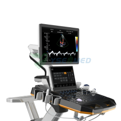 Sistema de ultrasonido Doppler color con carrito 4D para ecografía cardiovascular YSB-T6