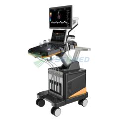 Sistema de ultrasonido Doppler color con carrito 4D para ecografía cardiovascular YSB-T6