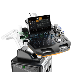 Sistema de ultrasonido Doppler color con carrito 4D para ecografía cardiovascular YSB-T6