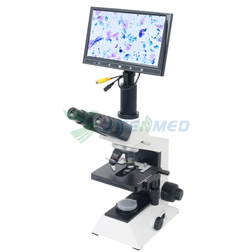Ysxwj-Bx-301b Medical Use Digital Binocular Video Microscope