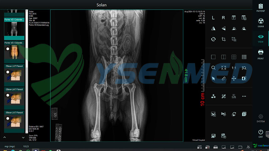 veterinary DR system image