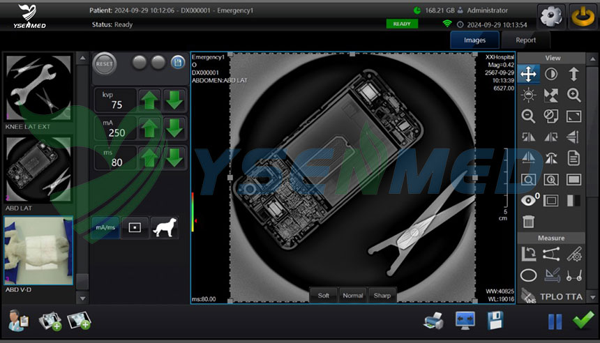  flat panel detector vet