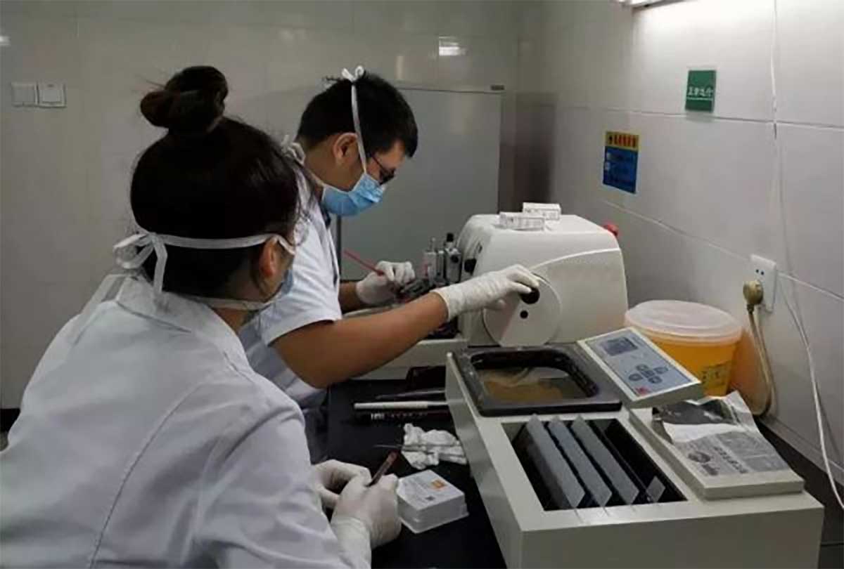 What is Microtome?