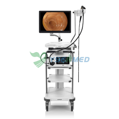 Electronic Endoscope Sonoscape X-2600