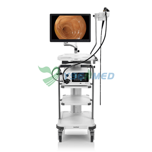 Electronic Endoscope Sonoscape X-2600
