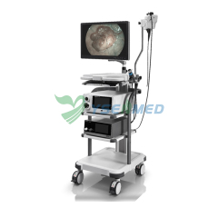 Electronic Endoscope Sonoscape X-2600