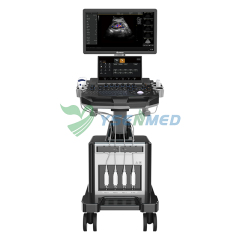 Medical 3D 4D 5D Trolley Color Ultrasound System YSB-T30