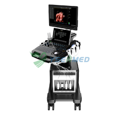 Medical 3D 4D 5D Trolley Color Ultrasound System YSB-T30