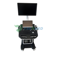Medical 3D 4D 5D Trolley Color Ultrasound System YSB-T30