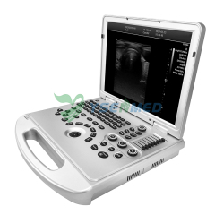 Medical Laptop Portable Color Ultrasound System YSB-L3