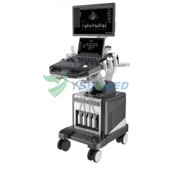 Medical 3D 4D 5D Trolley Color Ultrasound System YSB-T30