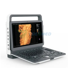 Portable 3D 4D Veterinary Color Doppler Ultrasound System YSB-M30 VET