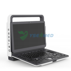 Portable 3D 4D Veterinary Color Doppler Ultrasound System YSB-M30 VET