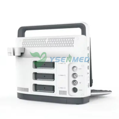 Portable 3D 4D Veterinary Color Doppler Ultrasound System YSB-M30 VET