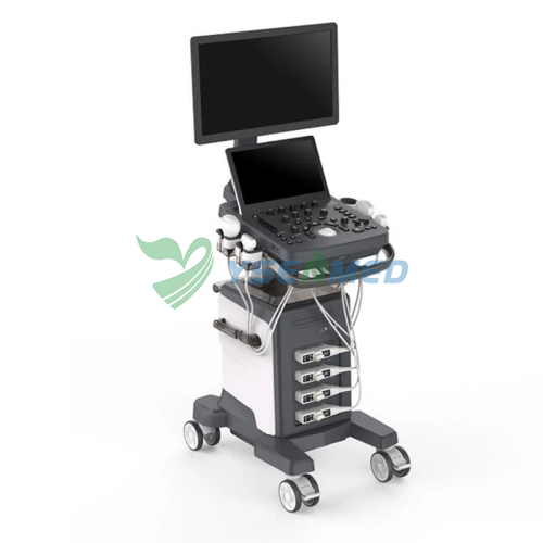 Veterinary Trolley Color Doppler Ultrasound System YSB-VIV20 VET