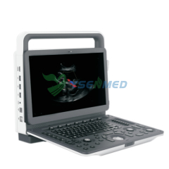 Portable 3D 4D Veterinary Color Doppler Ultrasound System YSB-M30 VET