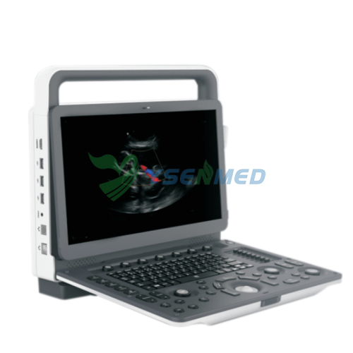Portable 3D 4D Veterinary Color Doppler Ultrasound System YSB-M30 VET