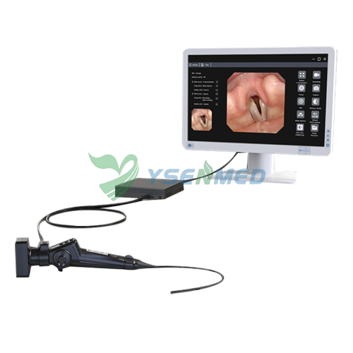 Video Rhinolaryngoscope/Flexible Video Rhinolaryngoscope YSNJ-EN-14