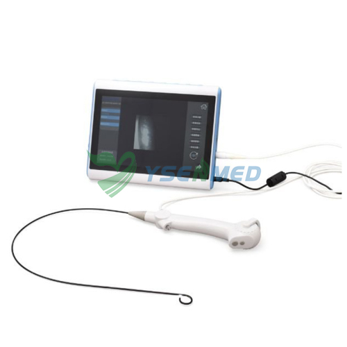 YSNJ-UR-F2 Disposable Single Use Digital Flexible Ureteroscope