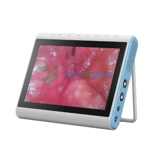 Portable Medical Image Processor Monitor YSNJ-MIP10