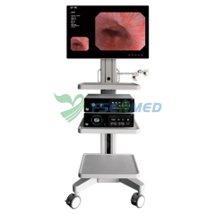 Electronic Flexible Endoscope System YSVME-400A