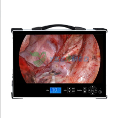 Portable HD1080P Medical Endoscope System YSNJ-HD370