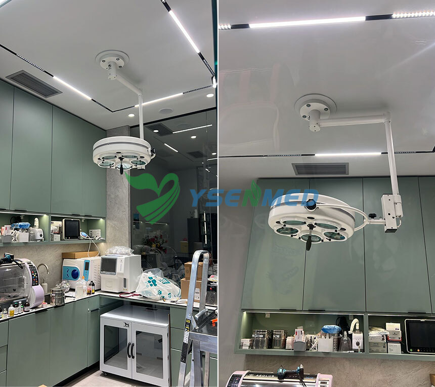 Veterinary Clinic in Kosovo Chooses YSENMED Equipment for Daily Practice