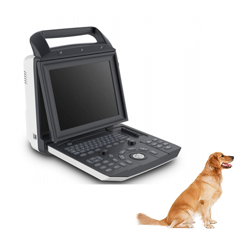 Animal Handheld Vet Color Doppler Portable Veterinary Ultrasound Scanner YSB-M5 VET