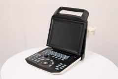 Scanner vétérinaire portatif d'ultrason de Doppler de couleur de vétérinaire tenu dans la main d'animal YSB-M5 VET