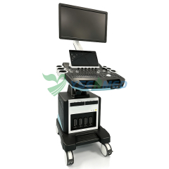 Système d'échographie couleur 3D, 4D et 5D sur chariot médical YSB-T30