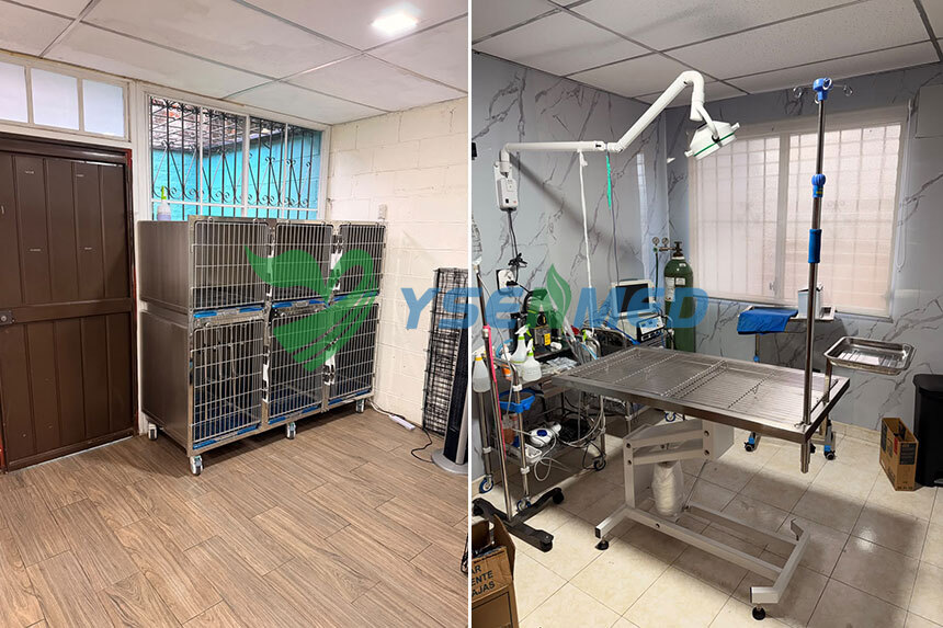 A Veterinary Clinic Setup Completed in El Salvador