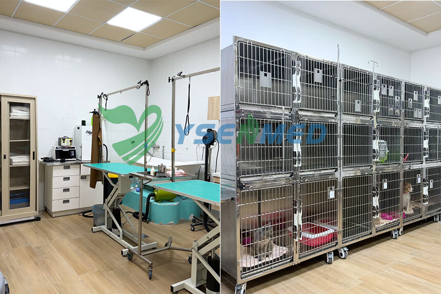 Supporting a Veterinary Hospital Project in Saudi Arabia