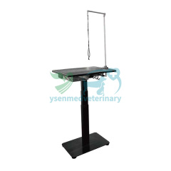 Pro Single Column Electric Lifting Table YSFT-721