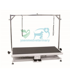 X-style Electric lifting table YSFT-801