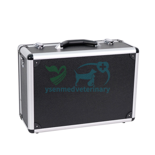 Digital Ultrasound Scanner For Veterinary Purpose YSB3000V