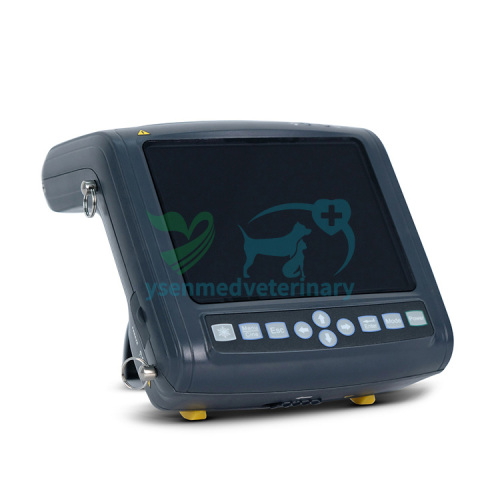 Black & White Wrist Veterinary Ultrasound System YSB5200V