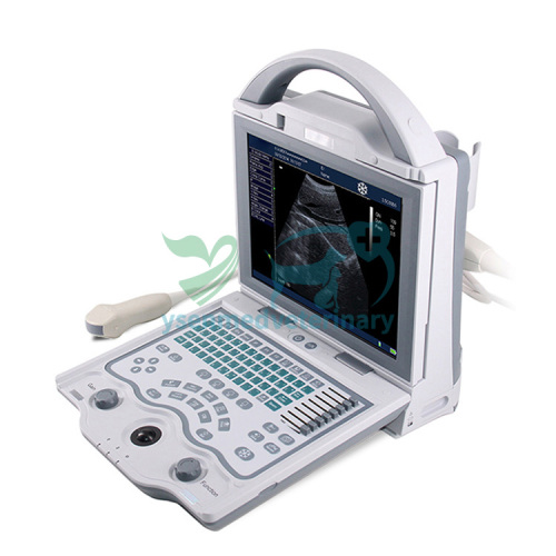 Portable B/W Vet Ultrasound Machine YSB5600V