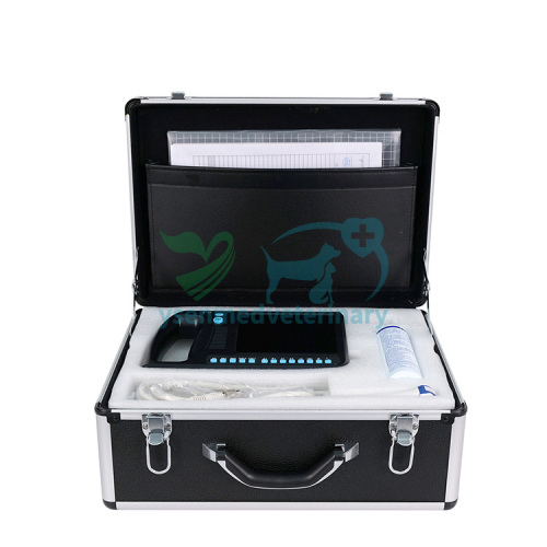Digital Ultrasound Scanner For Veterinary Purpose YSB3000V