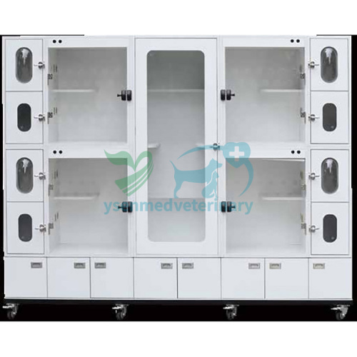 Nuevo Cat Condo Bank YSKC-702