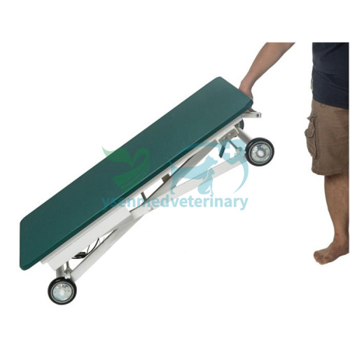 Electric Mobile Grooming Table YSFT-833E