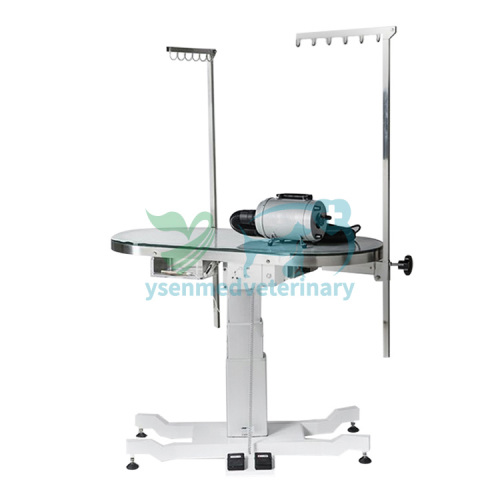 ACE Deluxe Illumination Grooming Table YSFT-889