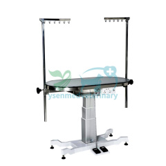 ACE Deluxe Illumination Grooming Table YSFT-889